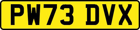 PW73DVX
