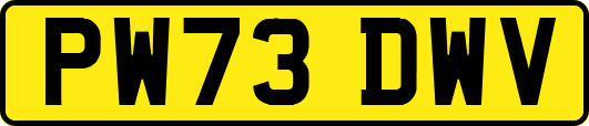 PW73DWV