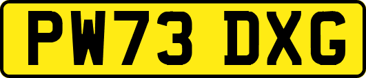 PW73DXG