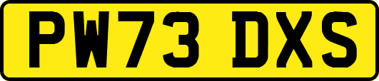PW73DXS