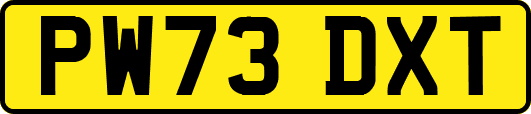 PW73DXT