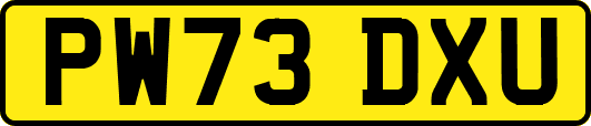 PW73DXU