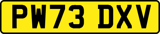 PW73DXV