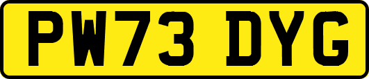 PW73DYG