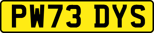 PW73DYS