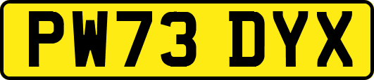 PW73DYX