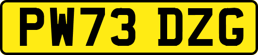 PW73DZG