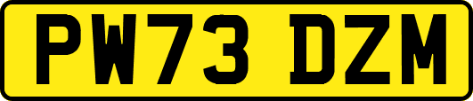 PW73DZM