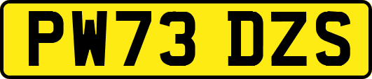 PW73DZS