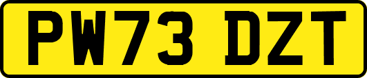 PW73DZT