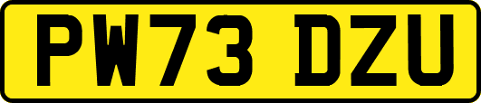 PW73DZU