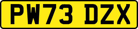 PW73DZX