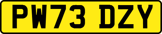 PW73DZY