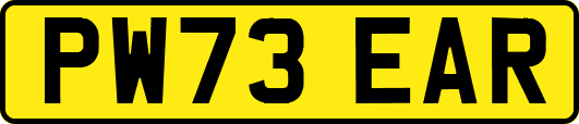 PW73EAR