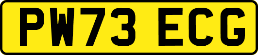 PW73ECG
