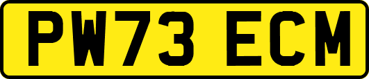 PW73ECM