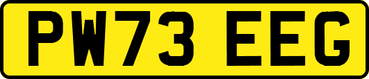 PW73EEG