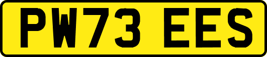 PW73EES
