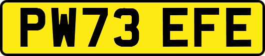 PW73EFE