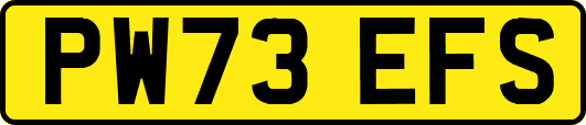 PW73EFS