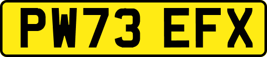 PW73EFX