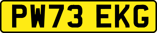 PW73EKG