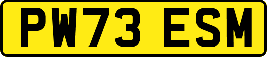 PW73ESM