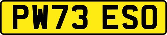 PW73ESO