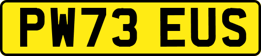 PW73EUS