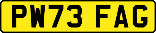 PW73FAG