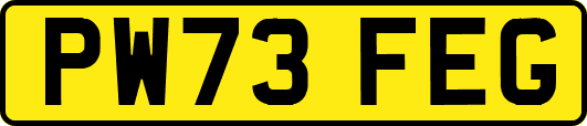 PW73FEG