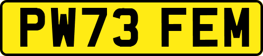 PW73FEM