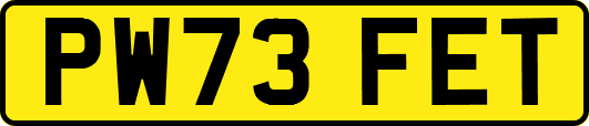 PW73FET