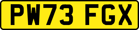 PW73FGX