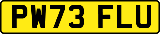 PW73FLU