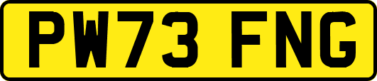 PW73FNG