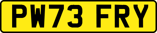 PW73FRY