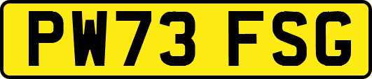 PW73FSG