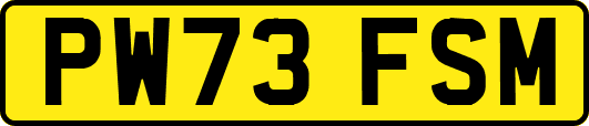 PW73FSM