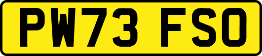 PW73FSO