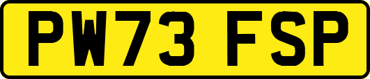 PW73FSP