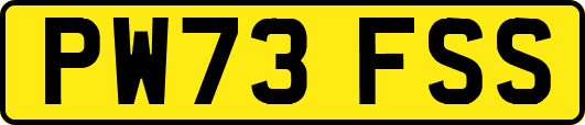 PW73FSS