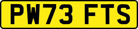PW73FTS