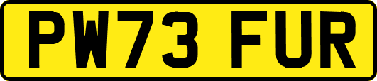 PW73FUR