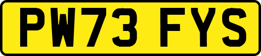 PW73FYS