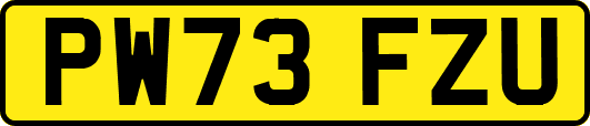 PW73FZU