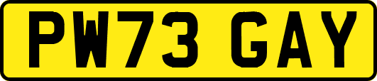PW73GAY