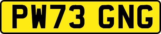 PW73GNG