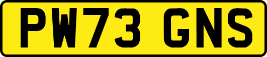 PW73GNS