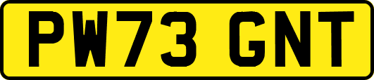 PW73GNT